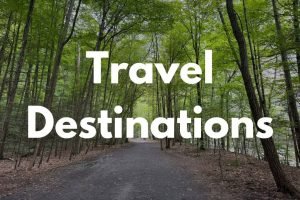 Scenic forest trail surrounded by lush green trees, ideal for nature lovers and outdoor adventures.